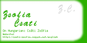 zsofia csati business card